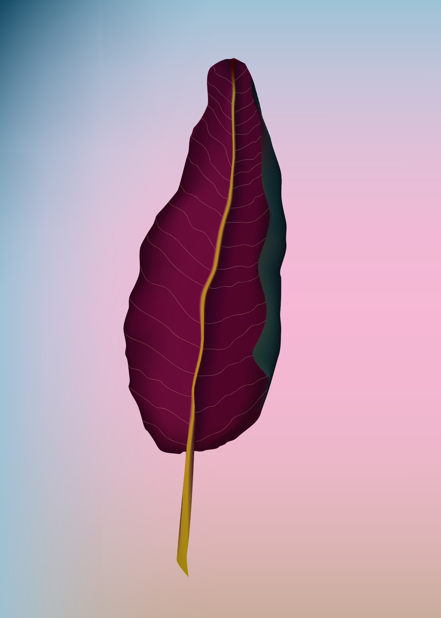 Calathea roseopicta (Pfeilwurzelgewächs), Irene Szankowsky