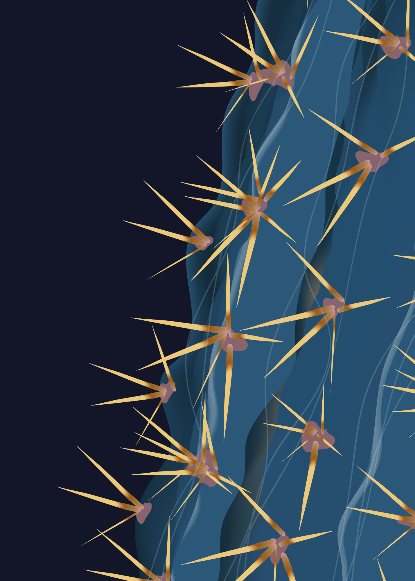 Ferocactus wislizenii, Ronja Lang