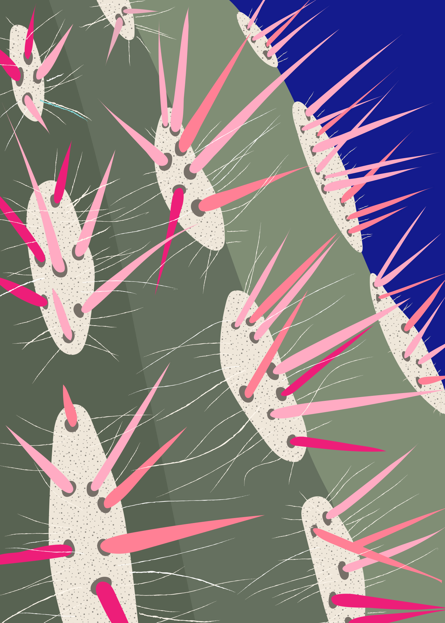 Ferocactus stainesii, Nadya Shikalova