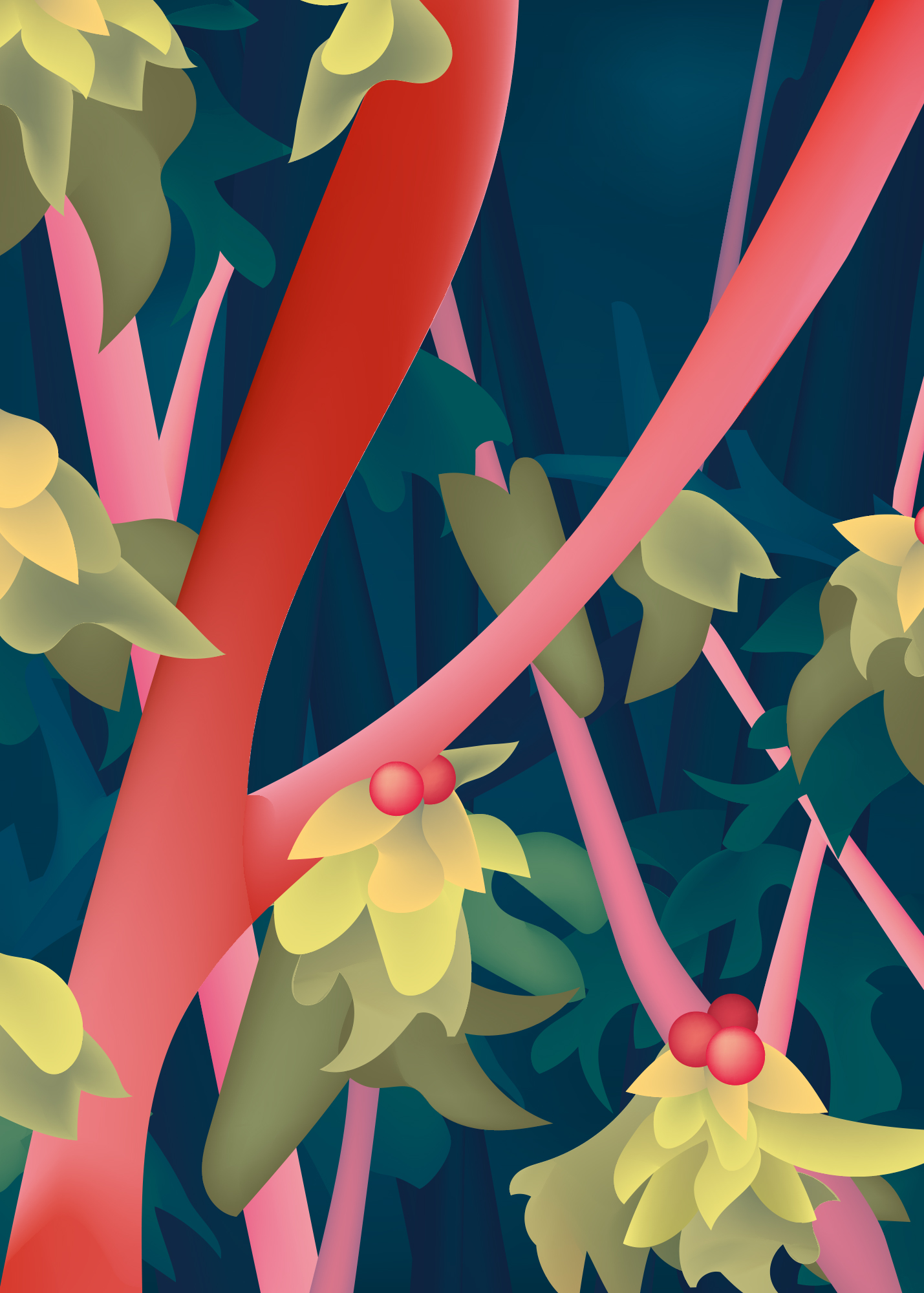 Podocarpus Latifolius (Breitblättrige Steineibe), David Reitenbach