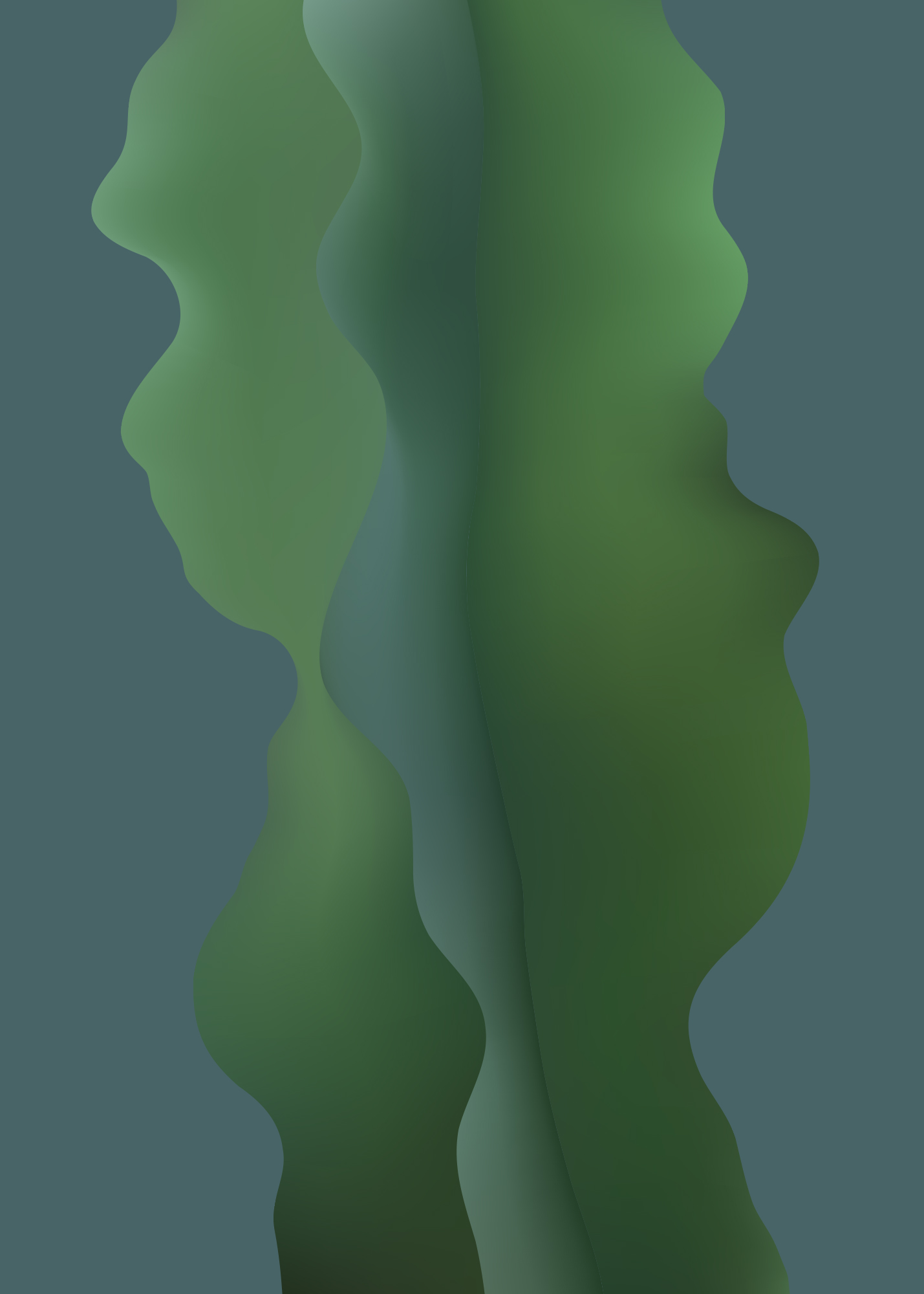 Cereus jamacaru (Säulenkaktus), Adrian Terzic