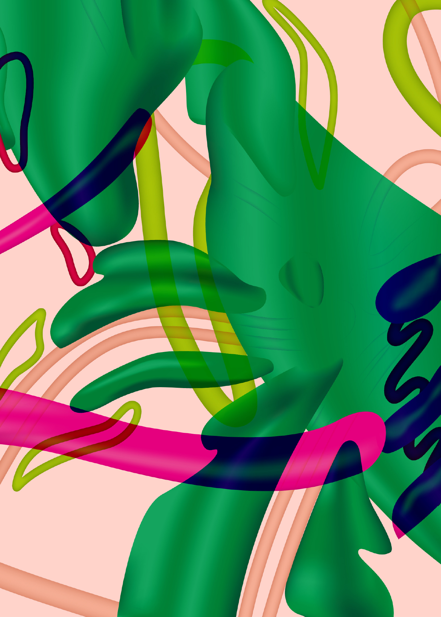 Aglaonema (Kolbenfaden), Cécile Vexler