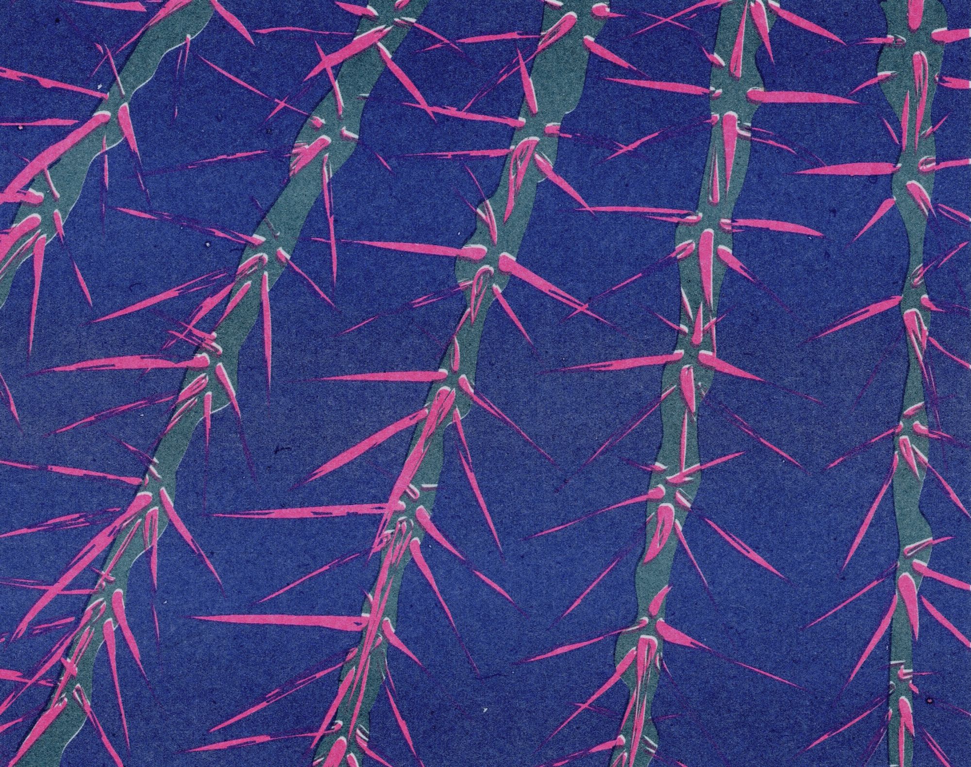 Echniocactus Grusonii, Destina Atasayar