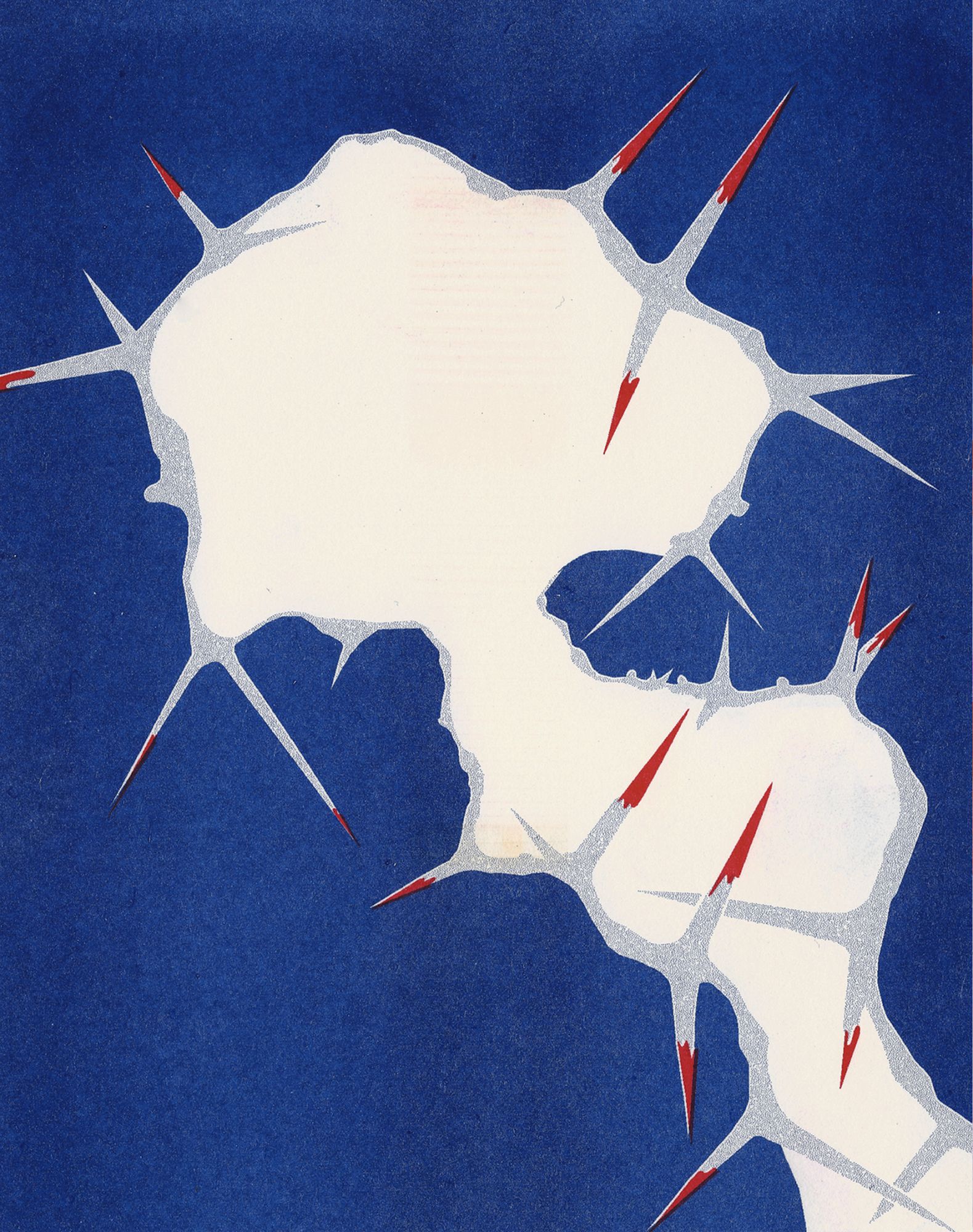 Virus Cactaceae, Katharina Brenner