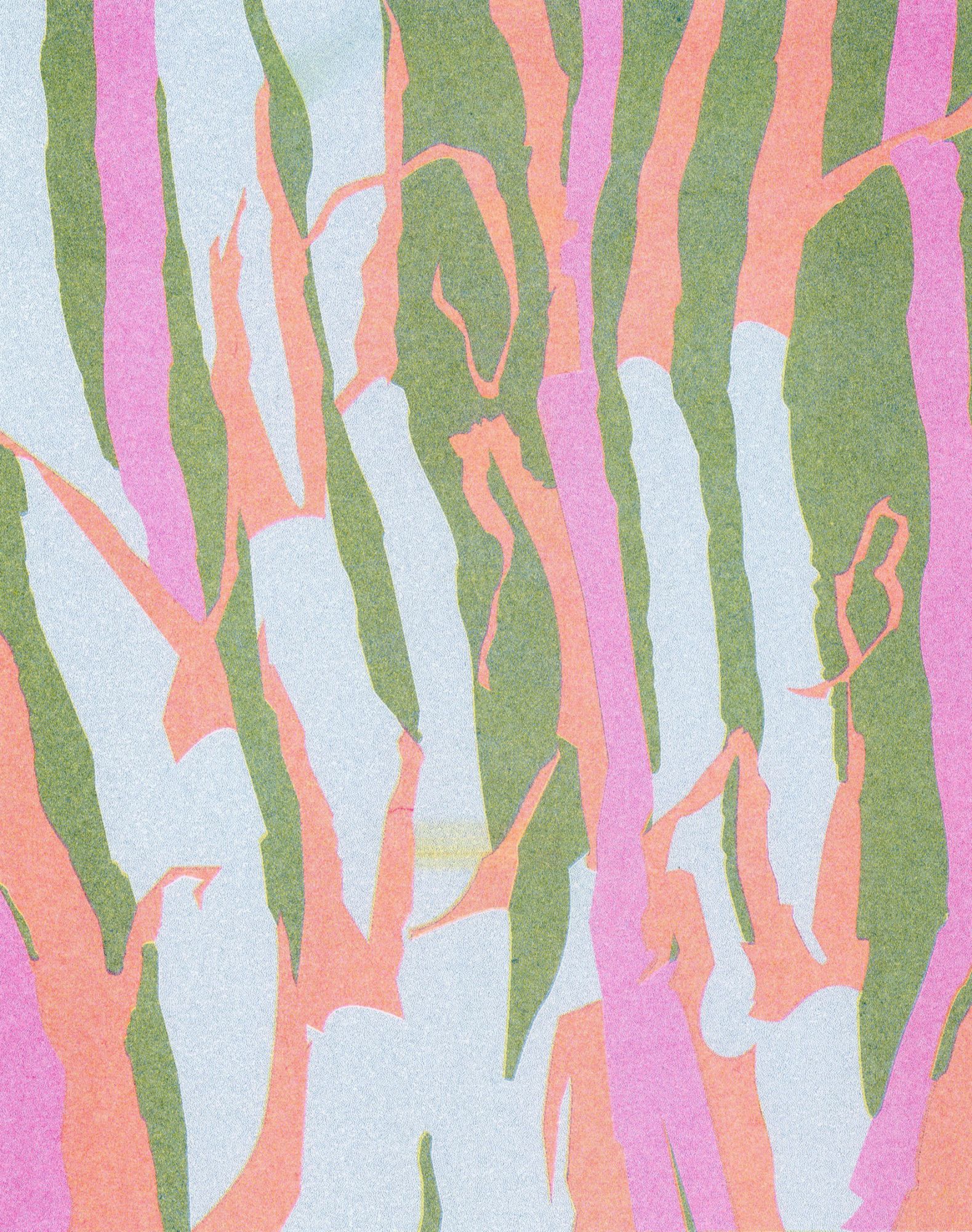 Sacchatum Officinatum, Mattis Bettels