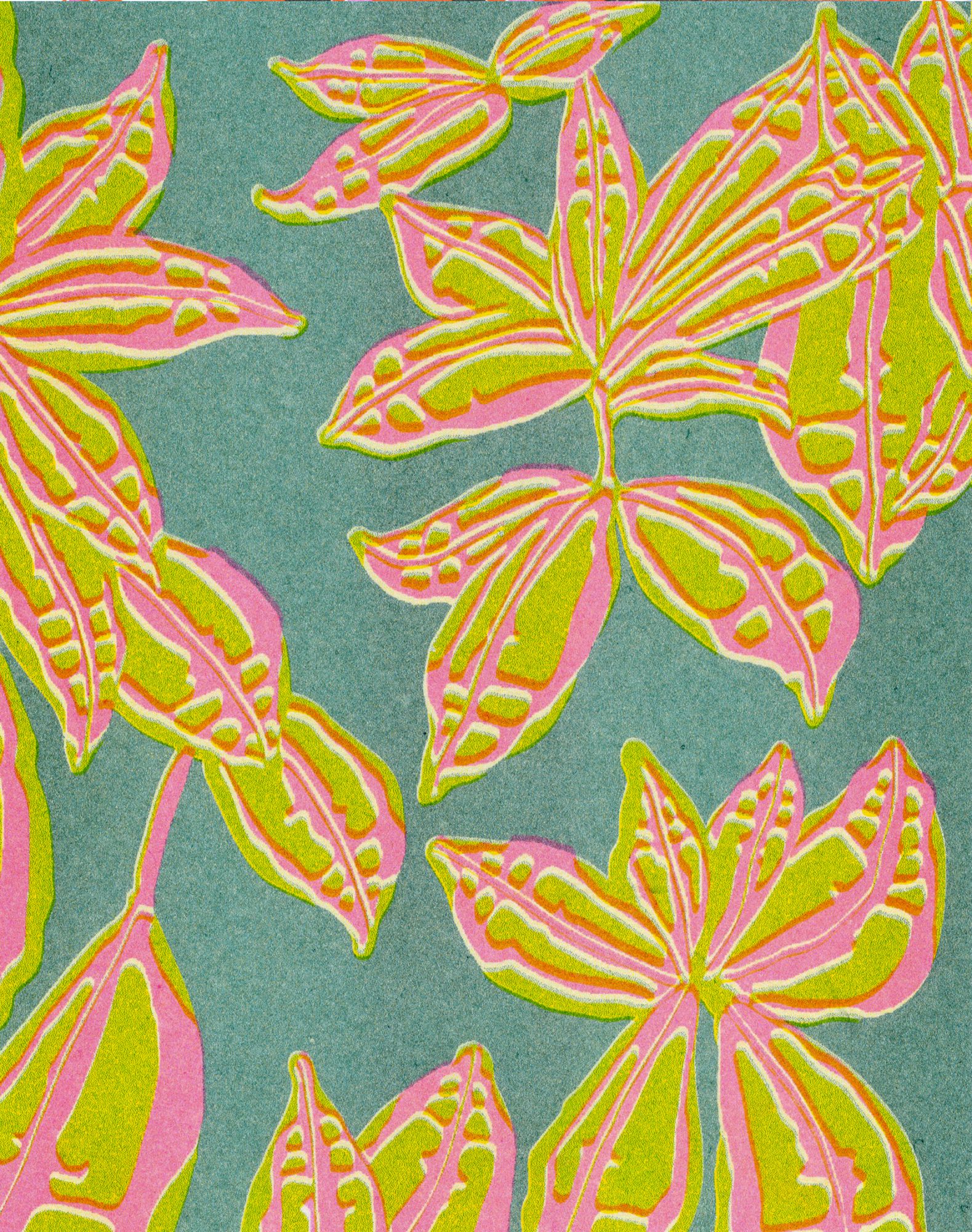 Pitea Cadirei, Sophie Lazari