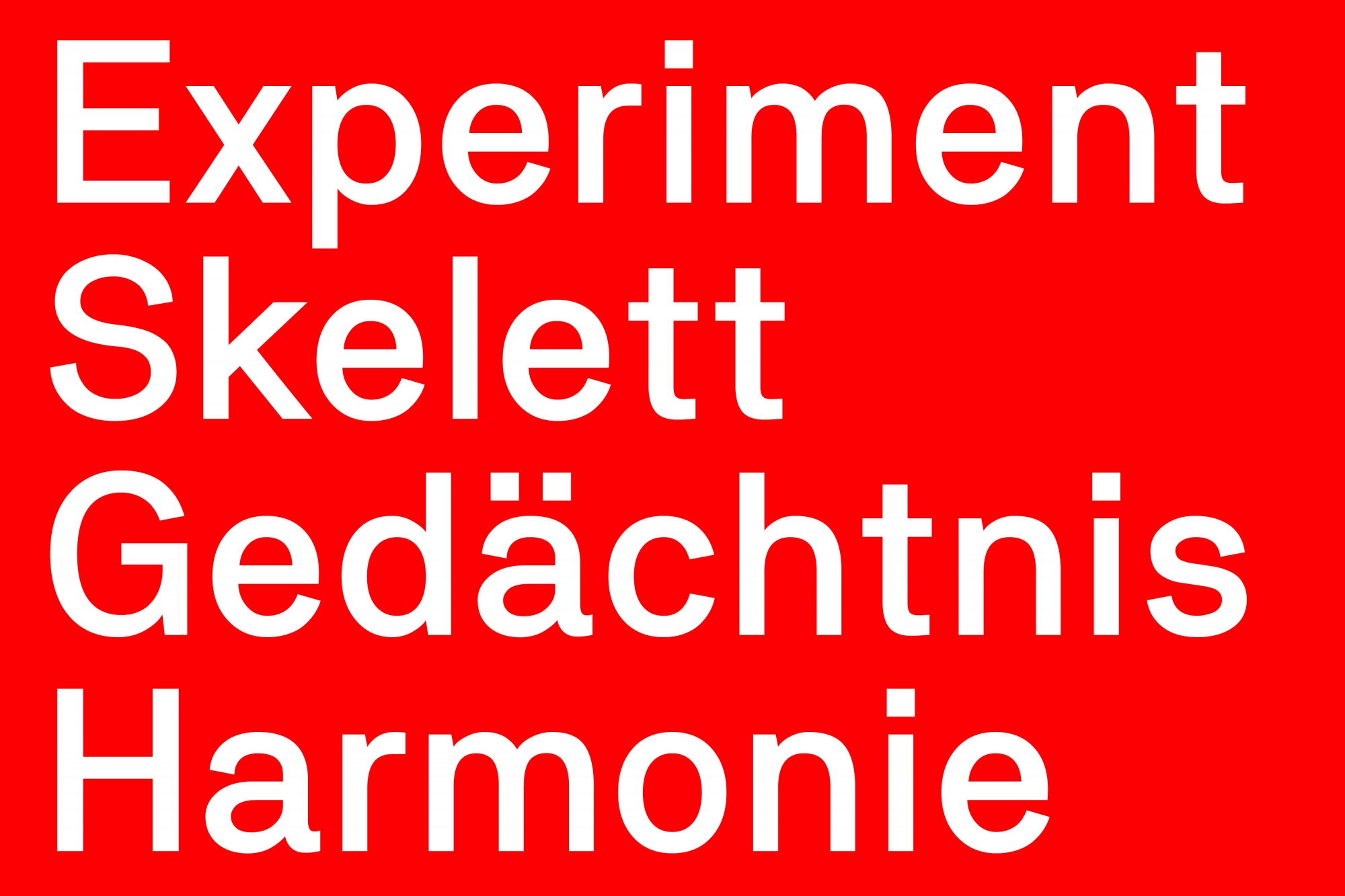 Bildmaterial-Blogpost-Interview-Stefan-Gandl3